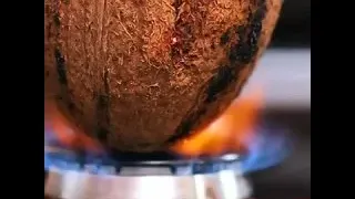 19 ЭКСПЕРИМЕНТОВ С ЕДОЙ