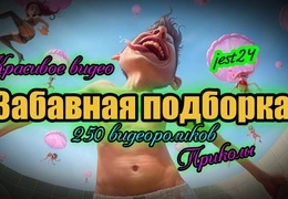  250+ лучших смешных видео: подборка забавных роликов в HD качестве 