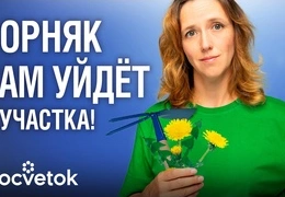 Эффективная борьба с многолетними сорняками: секреты слепой прополки и безопасные гербициды для огорода