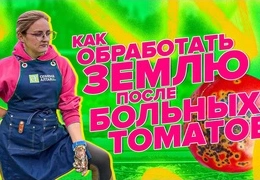 Эффективная дезинфекция почвы марганцовкой и кипятком: пошаговая инструкция для садоводов 2025