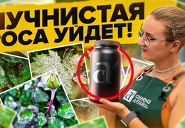 Эффективное лечение мучнистой росы на садовых растениях: проверенные методы профилактики и борьбы