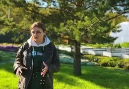 Эффективные методы борьбы с сорняками на дачном участке: пошаговое руководство для садоводов 2025