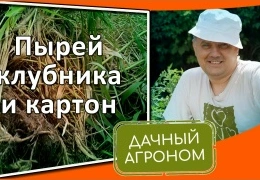 Экологичная борьба с сорняками на даче: натуральные методы без химии и гербицидов