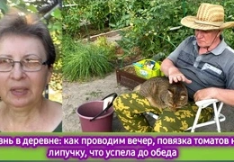 Экологичное выращивание микрозелени в домашних условиях: пошаговое руководство для начинающих + советы экспертов