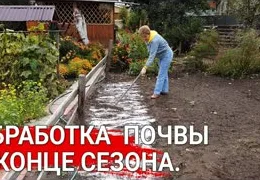 Как правильно известковать почву: пошаговая инструкция с точными дозировками доломитовой муки для повышения урожайности картофеля и других культур