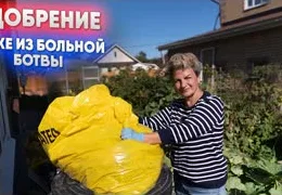 Как правильно утилизировать больные растения и сделать безопасный компост: пошаговая инструкция с биопрепаратами