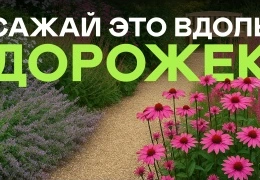 Как правильно выбрать растения для садовых дорожек: советы и рекомендации для создания идеального ландшафта