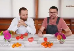 Лучшие сорта томатов для выращивания в теплицах Урала: подробный обзор и рекомендации 2025