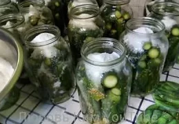 Маринованные огурцы по-домашнему: пошаговый рецепт с горчицей и секретами хранения 2025