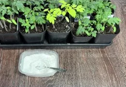 Натуральные подкормки для рассады: секреты применения рыбной муки и бананового настоя для томатов и огурцов