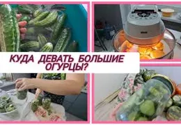 Необычные рецепты заготовок из переросших огурцов: пошаговая инструкция с фото и советами по хранению