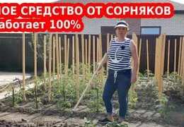 Органическая борьба с сорняками в огороде: эффективные методы без химии и гербицидов 2025