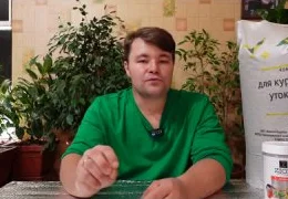 Органические и минеральные удобрения: виды, особенности применения и влияние на почву | Полное руководство для садоводов