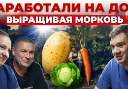 Органическое выращивание редких пряных трав на дачном участке: секреты успешного урожая и продажи