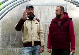Органическое земледелие для начинающих: секреты выращивания экологически чистых овощей без химии