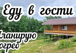 Органическое земледелие для начинающих: выращиваем экологически чистые овощи на дачном участке