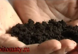 Органическое земледелие для начинающих: выращиваем здоровую рассаду без химии | Секреты природного земледелия