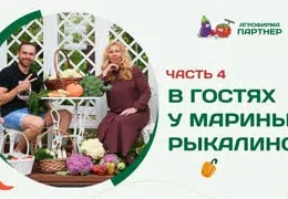 Органическое земледелие в маленьком саду: секреты успешного урожая без химии | Личный опыт самарского садовода