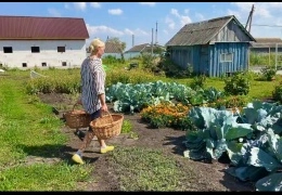 Секреты выращивания пузыреплодника и можжевельника: пошаговое руководство по созданию идеального сада с фото и видео инструкциями