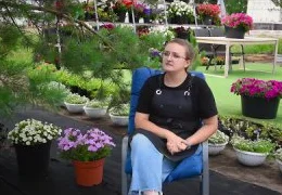 Сидераты для огорода: полный гид по выбору и выращиванию растений-улучшителей почвы 2025