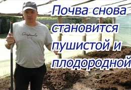 Восстановление плодородия почвы после сезона: эффективные методы с сидератами и компостом | Практическое руководство для садоводов